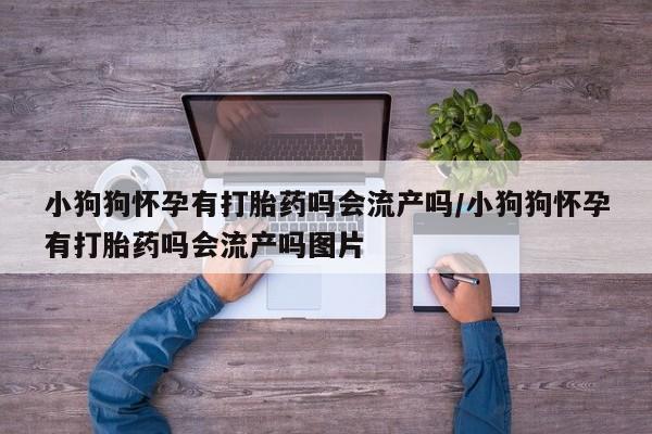 买打胎药的联系方式微信小狗狗怀孕有打胎药吗会流产吗/小狗狗怀孕有打胎药吗会流产吗图片