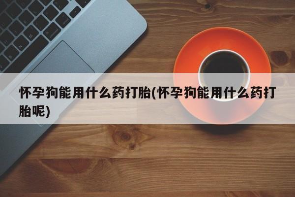 买打胎药的联系方式微信怀孕狗能用什么药打胎(怀孕狗能用什么药打胎呢)